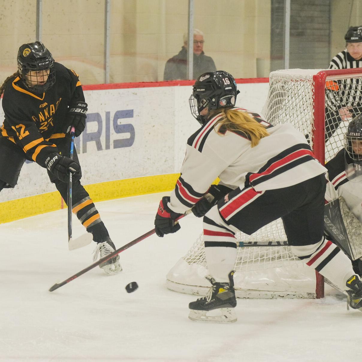 Mankato East girls hockey vs. River Lakes1